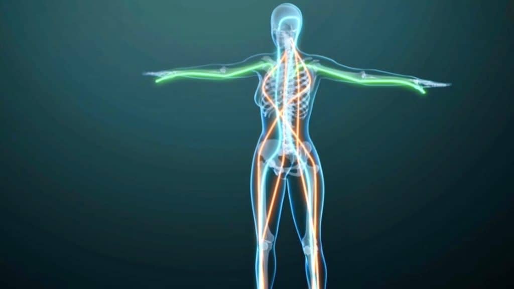 bienfaits du Tai Chi