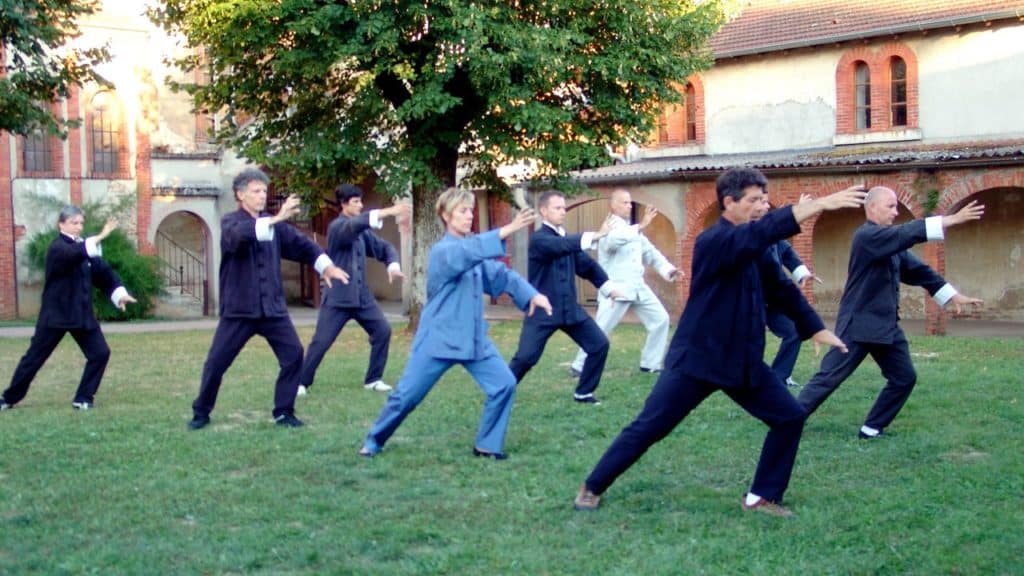 cours hebdomadaires de Tai Chi Lyon