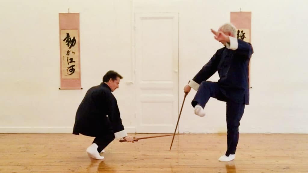 Tai chi forme d'épée à deux