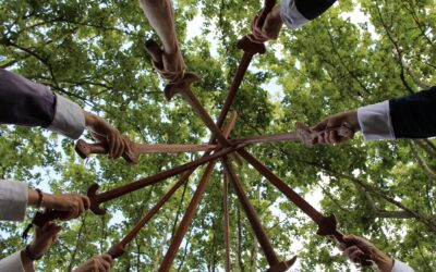 Tai chi et pratique dans les parcs