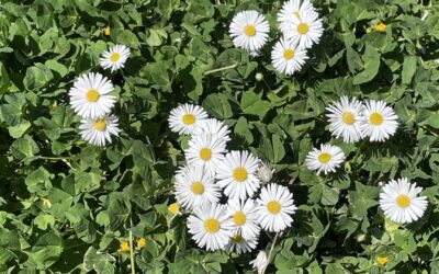 Tai Chi et vacances Tai Chi et vacances